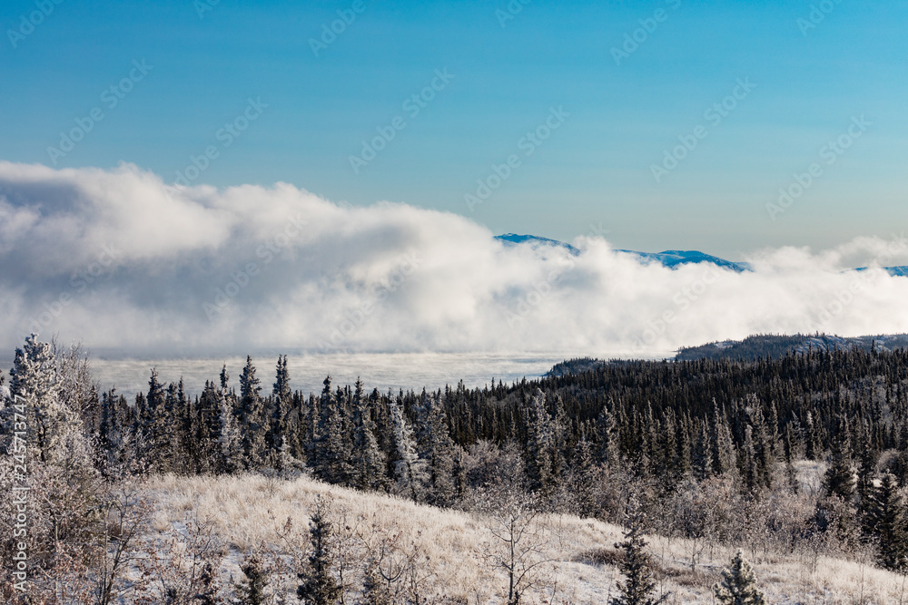 Thick fog rising from Lake Laberge Yukon Canada