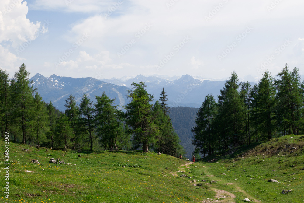 Trekking route in National park Dachstein, Austria. Away alpine mountains and green forest