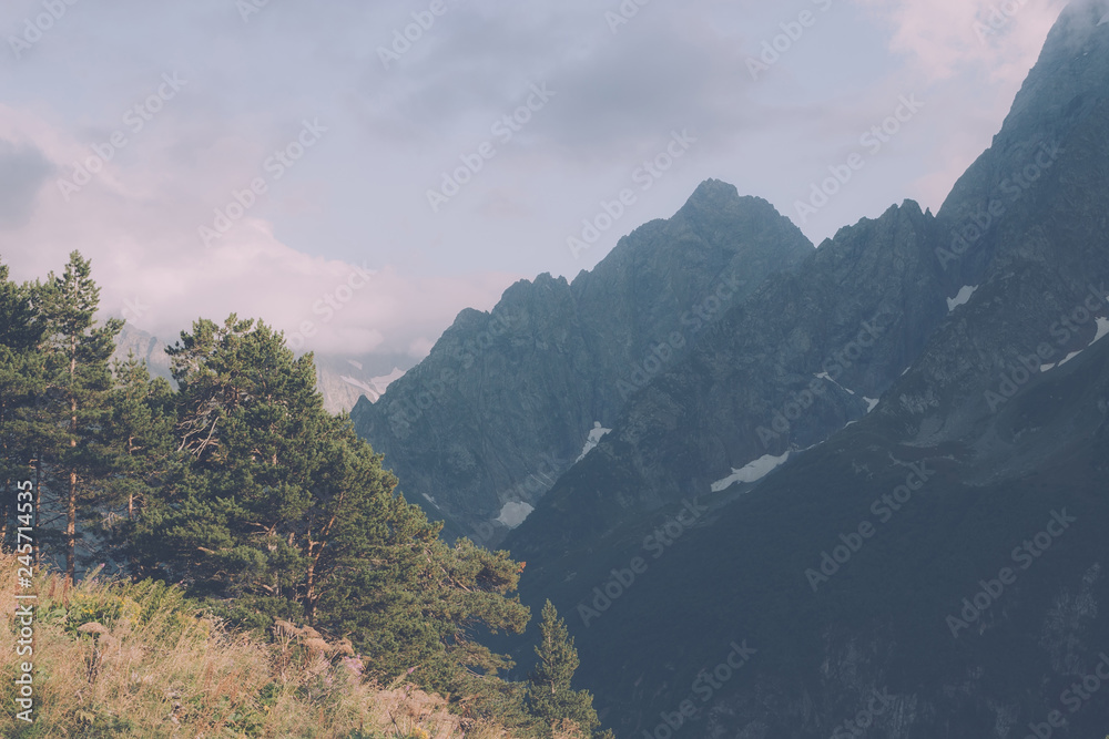 Closeup mountains and forest scenes in national park Caucasus, Russia Closeup mountains and forest scenes in national park Caucasus, Russia