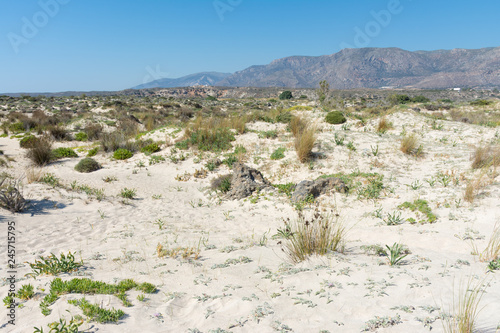 vegetation on the island of Elafonisi