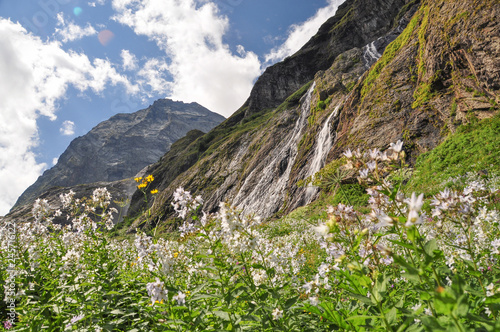 Closeup mountains scenes in national park Dombai, Caucasus, Russia