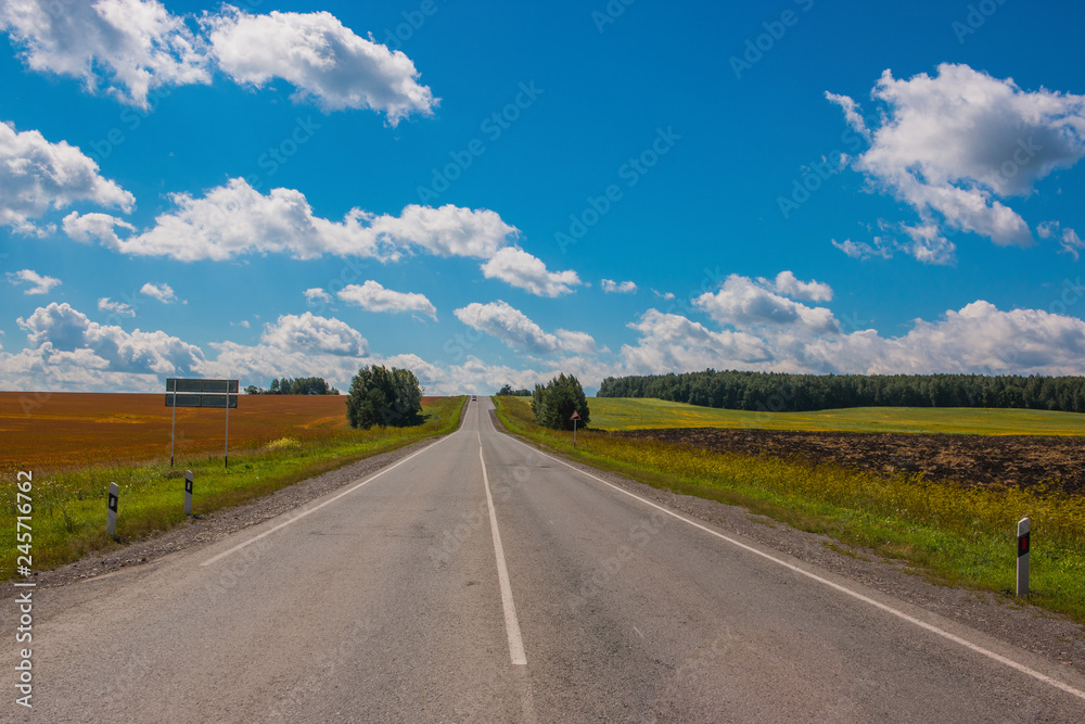 Fototapeta premium Road through green deep forest in Russia