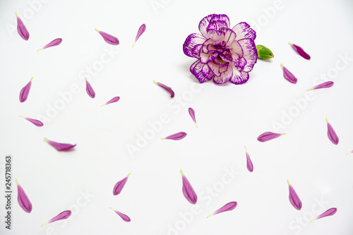 Purple flower pattern