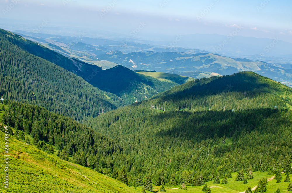 Hills with coniferous forest of a mountain range - Kopaonik, Serbia.
