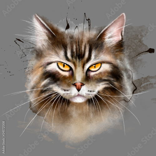 Angry Pet Funny Portrait Cute Cat Human Eyes Expressive Different Stock  Photo by ©vova130555@gmail.com 607160664