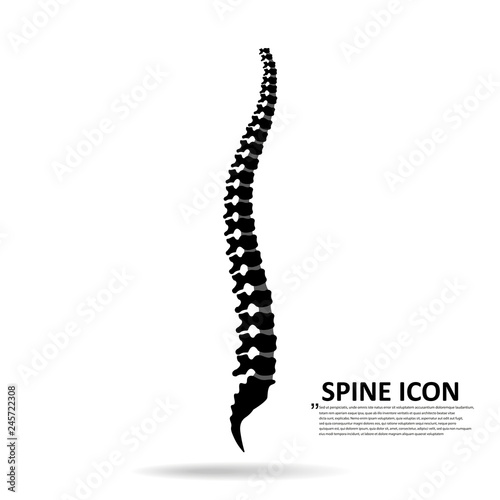 Vector human spine icon isolated silhouette illustration.