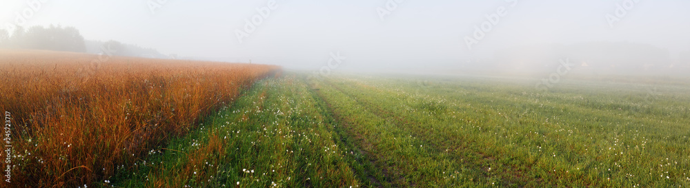 Foggy early morning. Meadow hiding in the fog. Panoramic shot.