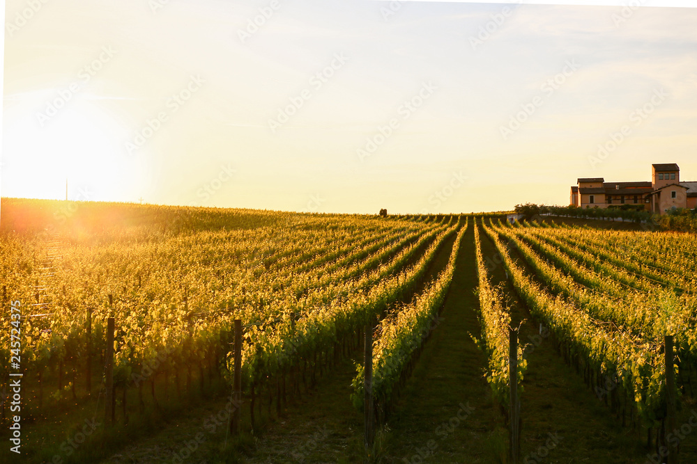 sunset on umbrian hills and wineyards