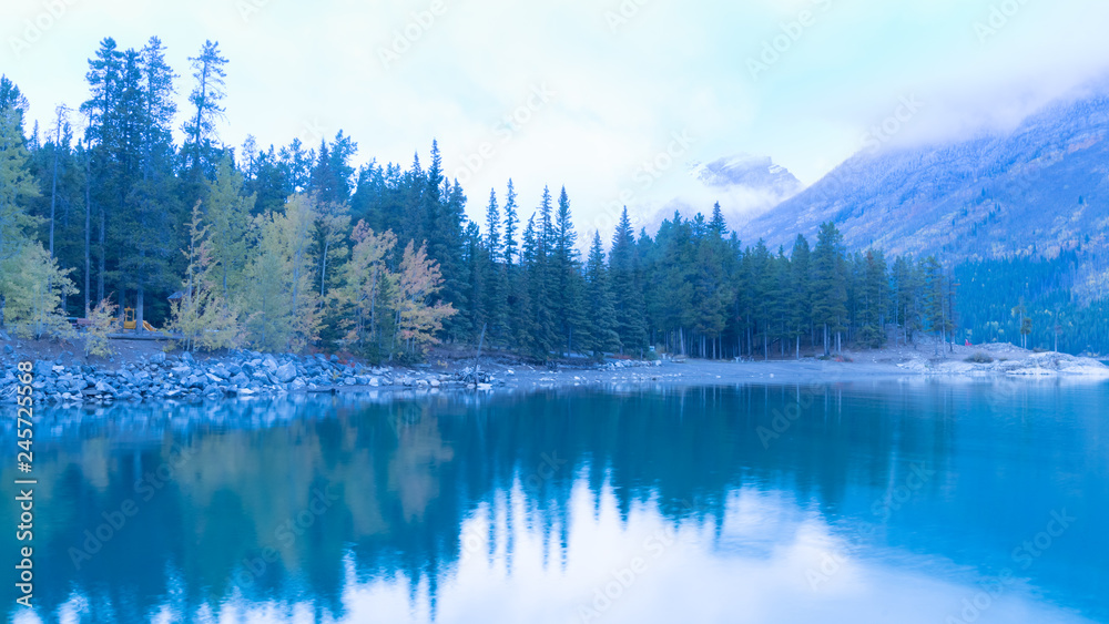 Autumn trees with green pine forest at lake minnewanka in the evening , Banff national park