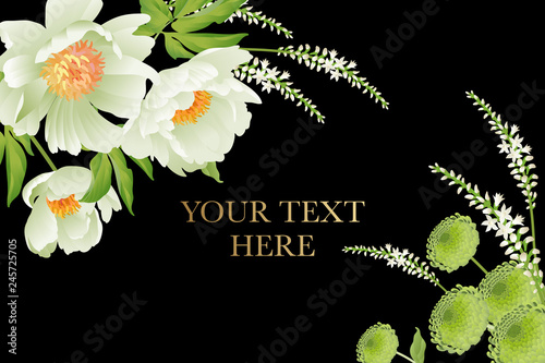 Garden peonies on black background. Floral card luxury pattern