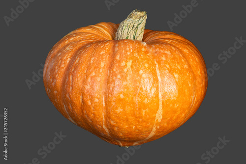 Bright orange striped pumpkin isolated on grey background
