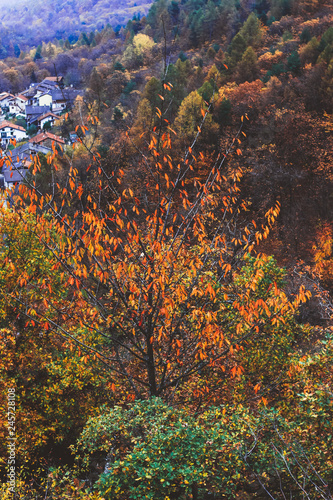Obraz na płótnie Paesaggio autunnale 6