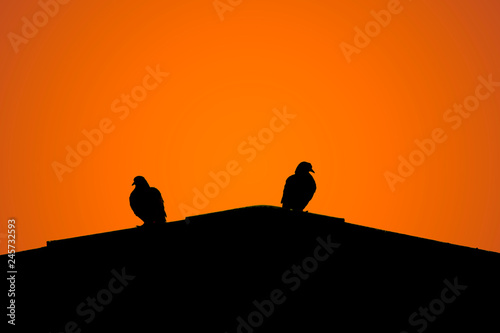 Silhouette of two doves on top of the roof.