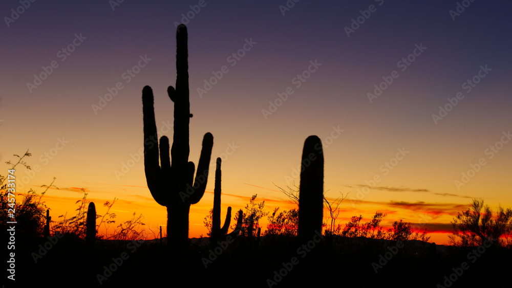 Arizona Sunset