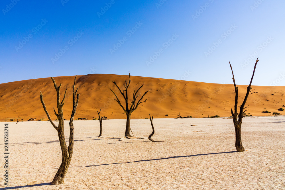 Namibia travel destination Deadvlei at the Namib Desert, orange yellow sand dunes Namibia travel destination Deadvlei at the Namib Desert, orange yellow sand dunes