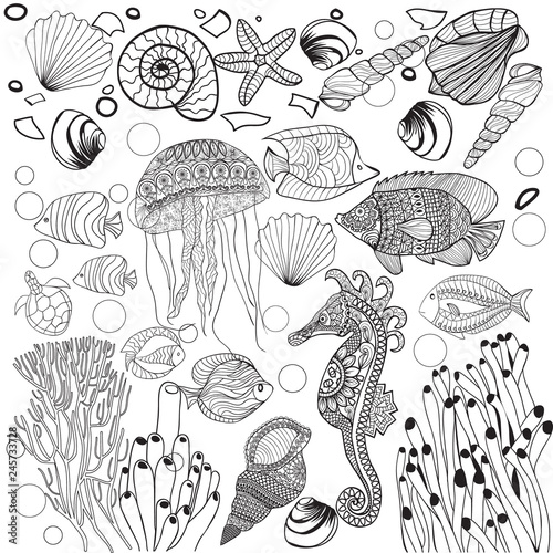 Photography Decorative underwater world sea life, fishes, jelyfish, fishes, sea horse