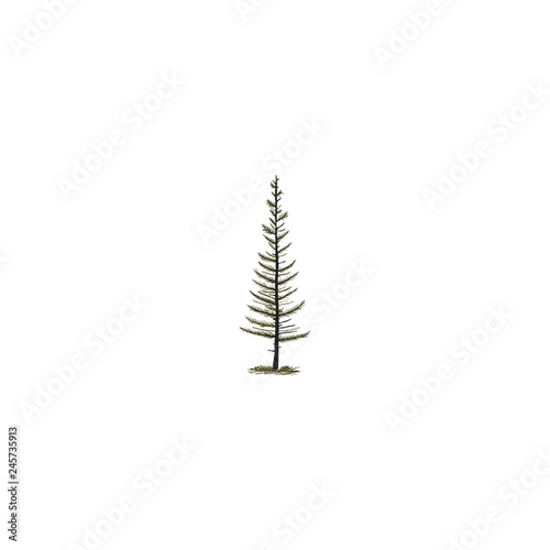 Hand sketched tree in silhouette monochrome style. Stock Vector pine tree symbol, illustration isolated on white background.