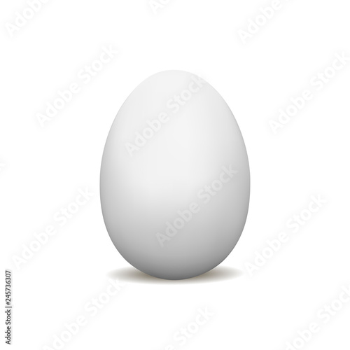 White egg mockup isolated. Vector illustration