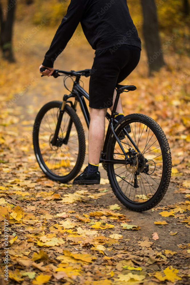 Back view of young active man sitting on bicycle and moving along forest path on weekend