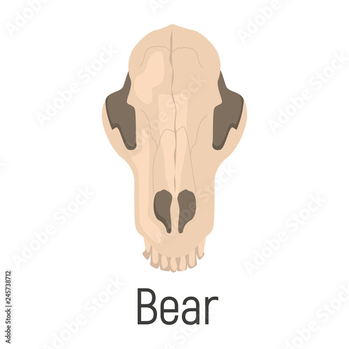 Bear skull color vector icon. Flat design