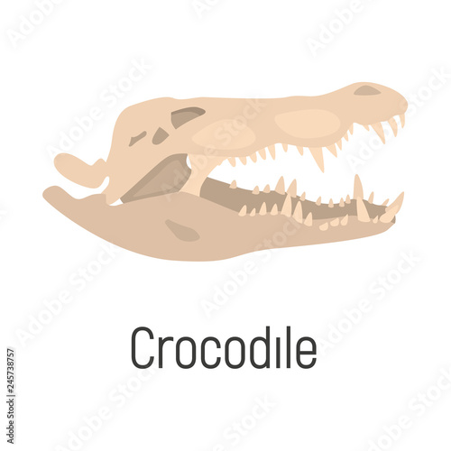 Crocodile skull color vector icon. Flat design