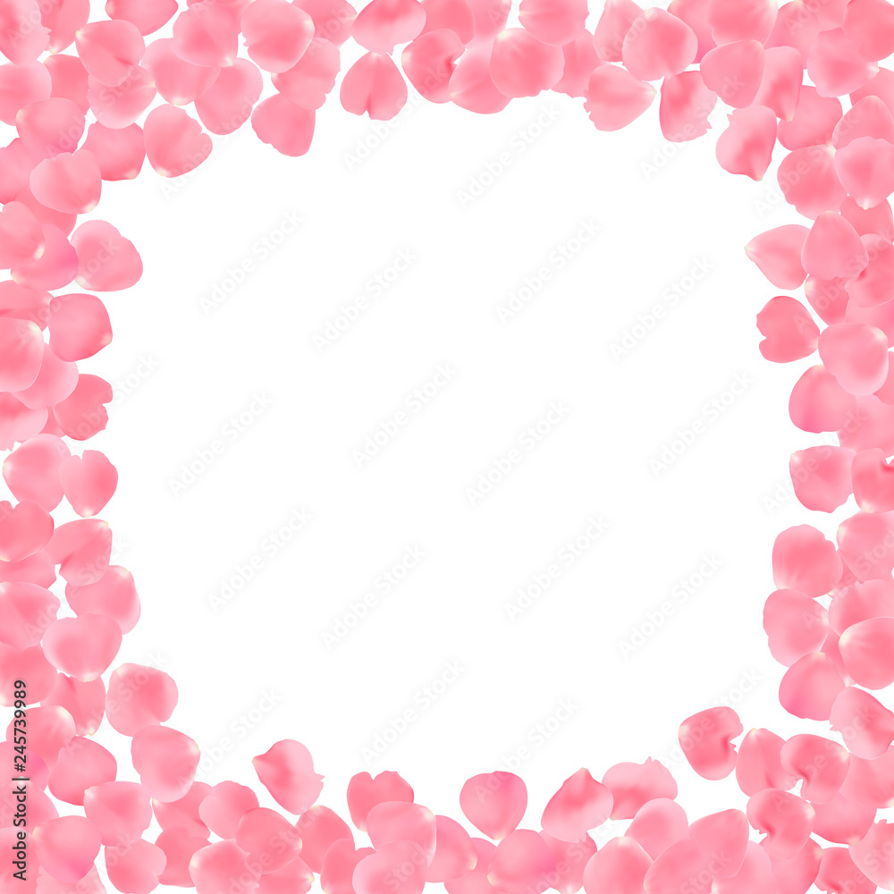Background with realistic pink rose petals isolated on white background.