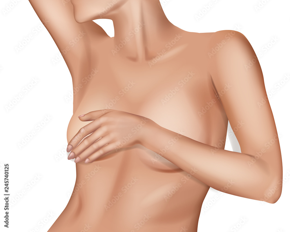 Fototapeta premium Female Breast. Detailed realistic illustration on a white background. Plastic correction and surgery concept.