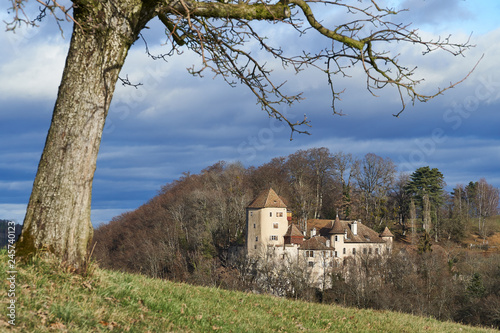 Schloss Wildenstein photo