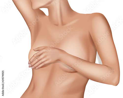Female Breast.  Detailed  realistic illustration on a white background. Plastic correction and surgery concept.