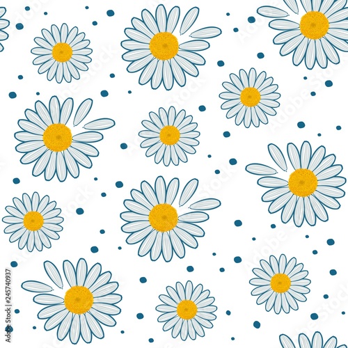 Delicate daisies on a white background. The textile pattern.