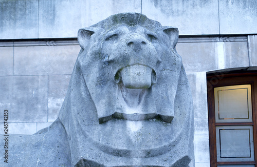 Stone lion outside Montague Place, King Edward the Seventh galleries, entrance to British Museum designed by Sir George Frampton, 1907. photo