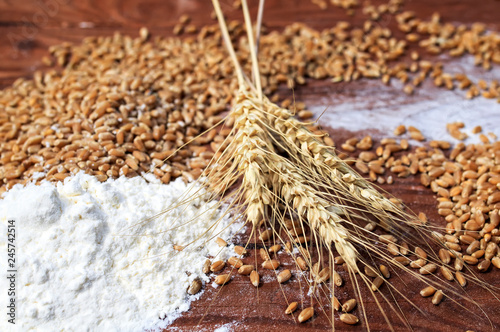 background of Golden wheat grains with ears and white crumbling flour scatter...