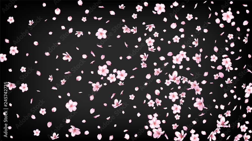 Nice Sakura Blossom Isolated Vector. Spring Falling 3d Petals Wedding Frame. Japanese Gradient Flowers Illustration. Valentine, Mother's Day Beautiful Nice Sakura Blossom Isolated on Black