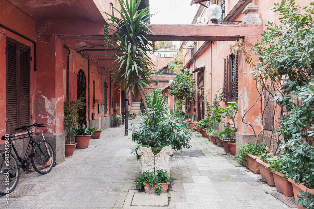 Typical weathered residential yard in the old town Rome with tropical plants in flower pots Typical weathered residential yard in the old town Rome with tropical plants in flower pots