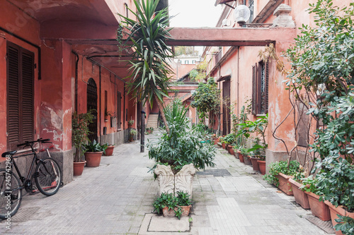 Typical weathered residential yard in the old town Rome with tropical plants in flower pots