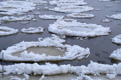 Krążki lodowe - forma lodu pływającego. Ujście Wisły, Wyspa Sobieszewska, Polska