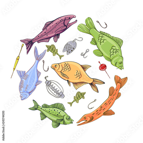 Fish and fishing equipment