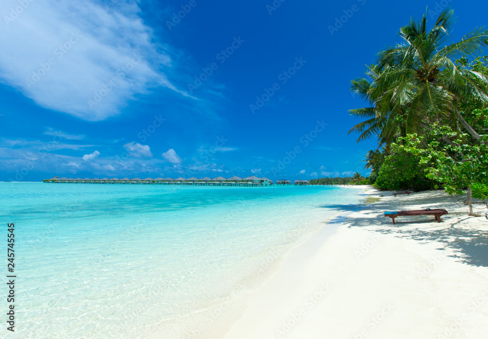 Fototapeta premium tropical Maldives island with white sandy beach and sea