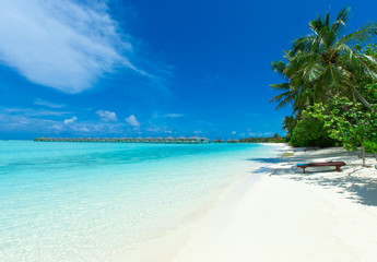 Crédence de cuisine Plage tropicale Île des Maldives lagon sable blanc  © Pakhnyushchyy