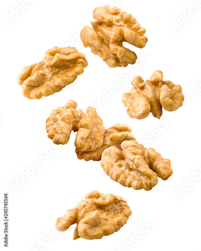 Falling walnut, nut, isolated on white background, clipping path, full depth of field photo