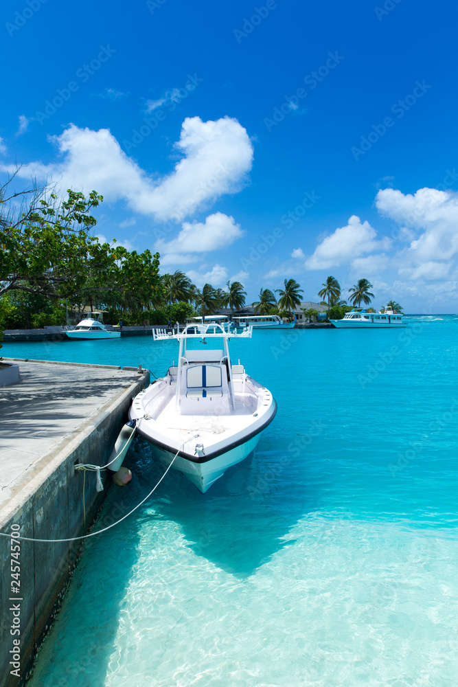 Fototapeta premium tropical Maldives island with white sandy beach and sea