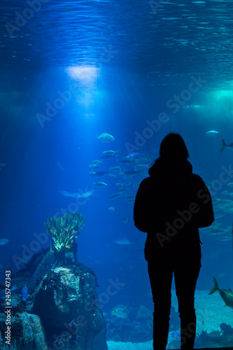  a girl looks at an aquarium