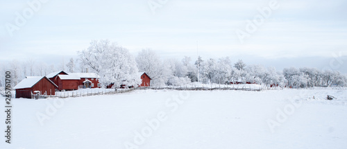 Wallpaper Mural Farm barn and house in a cold winter landscape with snow and frost Torontodigital.ca