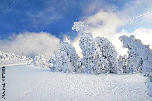 schöner Wintertag auf Gipfel © Jenny Sturm