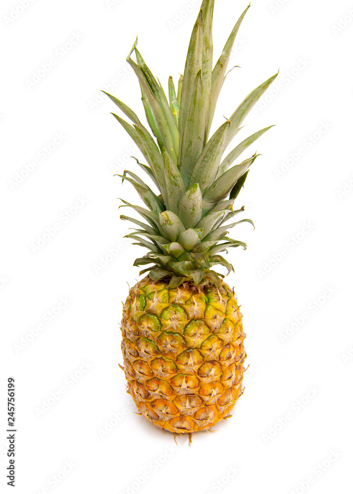 ananas Isolated on white background ananas Isolated on white background