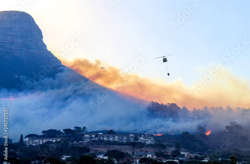 Fire helicopters  fighting a growing wildfire on the 27th of January 2019 at Lion s Head in Cape Town  South Africa
