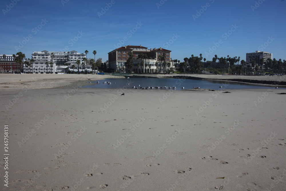 Santa Monica beach