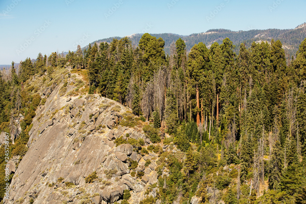 Sunset in Sequoia national park in California, USA