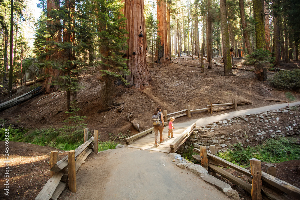 Family with boy visit Sequoia national park in California, USA Family with boy visit Sequoia national park in California, USA