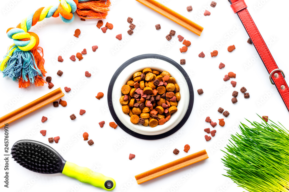 Pet care. Pet food, toys and accessories on white backgorund top view pattern Pet care. Pet food, toys and accessories on white backgorund top view pattern